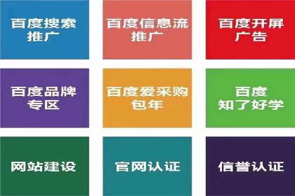 百度竞价排名案例分析：提升网站流量与转化率